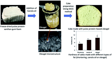 Graphical abstract: Oleogelation using pulse protein-stabilized foams and their potential as a baking ingredient