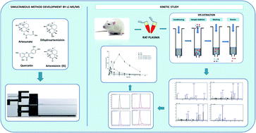 Graphical abstract: A simple sensitive UFLC-MS/MS method for the simultaneous quantification of artesunate, dihydroartemisinin and quercetin in rat plasma and its application to pharmacokinetic studies