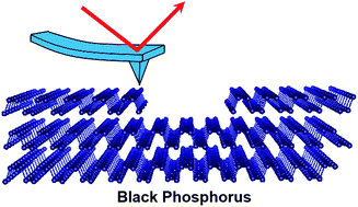 Graphical abstract: Atomic scale study of black phosphorus degradation