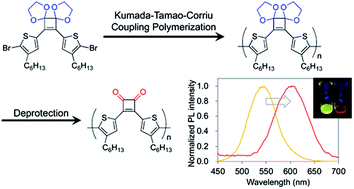 Graphical abstract: Synthesis and characterization of cyclobutenedione–bithiophene π-conjugated polymers: acetal-protecting strategy for Kumada–Tamao–Corriu coupling polymerization between aryl bromide and Grignard reagents