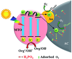 Graphical abstract: Synthesis of Au-decorated three-phase-mixed TiO2/phosphate modified active carbon nanocomposites as easily-recycled efficient photocatalysts for degrading high-concentration 2,4-DCP