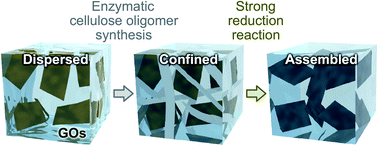 Graphical abstract: Assembly of reduced graphene oxides into a three-dimensional porous structure via confinement within robust cellulose oligomer networks