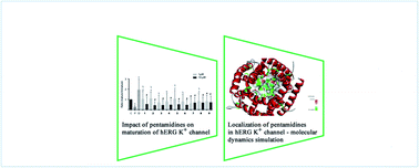 Graphical abstract: Drug-likeness of linear pentamidine analogues and their impact on the hERG K+ channel – correlation with structural features