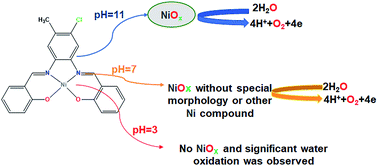 Graphical abstract: Electrocatalytic water oxidation by a Ni(ii) salophen-type complex