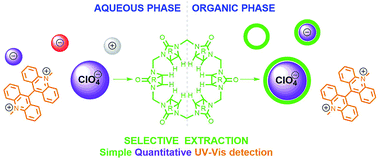 Graphical abstract: Phase-transfer extraction for the fast quantification of perchlorate anions in water