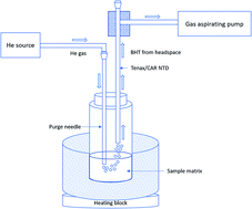 Graphical abstract: Development and validation of a headspace needle-trap method for rapid quantitative estimation of butylated hydroxytoluene from cosmetics by hand-portable GC-MS