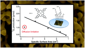 Graphical abstract: Photocatalytic coatings based on a zinc(ii) phthalocyanine derivative immobilized on nanoporous gold leafs with various pore sizes
