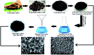 Graphical abstract: The biosorptive uptake of enrofloxacin from synthetically produced contaminated water by tamarind seed derived activated carbon