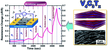 Graphical abstract: A high-performance trace level acetone sensor using an indispensable V4C3Tx MXene