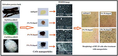 Graphical abstract: Nickel-doped cerium oxide nanoparticles: biosynthesis, cytotoxicity and UV protection studies