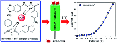 Graphical abstract: The synthesis and application of (E)-N′-(benzo[d]dioxol-5-ylmethylene)-4-methyl-benzenesulfonohydrazide for the detection of carcinogenic lead