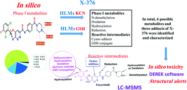 Graphical abstract: Phase I metabolic profiling and unexpected reactive metabolites in human liver microsome incubations of X-376 using LC-MS/MS: bioactivation pathway elucidation and in silico toxicity studies of its metabolites