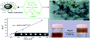 Graphical abstract: Highly water-dispersible calcium lignosulfonate-capped MnO nanoparticles as a T1 MRI contrast agent with exceptional colloidal stability, low toxicity and remarkable relaxivity