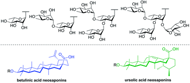 Graphical abstract: Synthesis, cytotoxicity and anti-inflammatory activity of rhamnose-containing ursolic and betulinic acid saponins