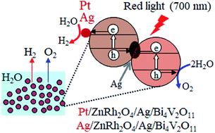 Graphical abstract: Selective loading of platinum or silver cocatalyst onto a hydrogen-evolution photocatalyst in a silver-mediated all solid-state Z-scheme system for enhanced overall water splitting