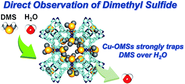 Graphical abstract: Direct observation of dimethyl sulfide trapped by MOF proving efficient removal of sulfur impurities