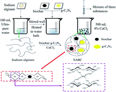 Graphical abstract: Three-dimensional microspheric g-C3N4 coupled by Broussonetia papyrifera biochar: facile sodium alginate immobilization and excellent photocatalytic Cr(iv) reduction