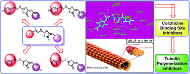 Graphical abstract: Design, eco-friendly synthesis, molecular modeling and anticancer evaluation of thiazol-5(4H)-ones as potential tubulin polymerization inhibitors targeting the colchicine binding site