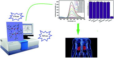 Graphical abstract: A novel cerium(iii)–isatin Schiff base complex: spectrofluorometric and DFT studies and application as a kidney biomarker for ultrasensitive detection of human creatinine