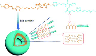 Graphical abstract: Novel amphiphilic graft block azobenzene-containing copolymer with polypeptide block: synthesis, self-assembly and photo-responsive behavior