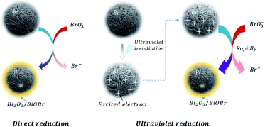 Graphical abstract: A novel zero valent metal bismuth for bromate removal: direct and ultraviolet enhanced reduction