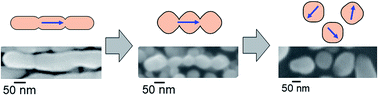 Graphical abstract: Thermally induced fragmentation of nanoscale calcite