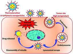 Graphical abstract: Targeted delivery of thermoresponsive polymeric nanoparticle-encapsulated lycopene: in vitro anticancer activity and chemopreventive effect on murine skin inflammation and tumorigenesis