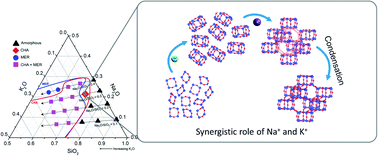 Graphical abstract: Revisiting the seed-assisted synthesis of zeolites without organic structure-directing agents: insights from the CHA case