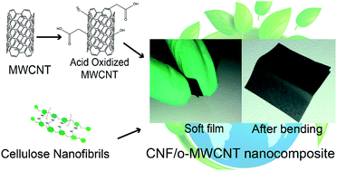 Graphical abstract: Flexible high dielectric thin films based on cellulose nanofibrils and acid oxidized multi-walled carbon nanotubes