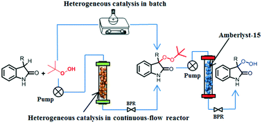 Graphical abstract: Peroxidation of 2-oxindole and barbituric acid derivatives under batch and continuous flow using an eco-friendly ethyl acetate solvent