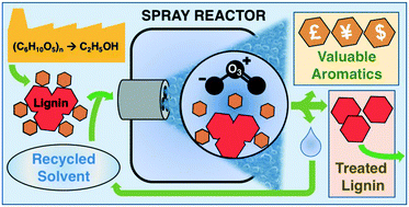 Graphical abstract: Intensified ozonolysis of lignins in a spray reactor: insights into product yields and lignin structure