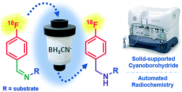 Graphical abstract: Solid-supported cyanoborohydride cartridges for automation of reductive amination radiochemistry