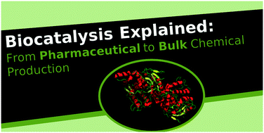 Graphical abstract: Biocatalysis explained: from pharmaceutical to bulk chemical production