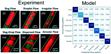 Graphical abstract: Experiments and computations of microfluidic liquid–liquid flow patterns