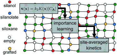 Graphical abstract: Site-averaged kinetics for catalysts on amorphous supports: an importance learning algorithm