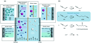 Graphical abstract: Insights into membrane-separated organic electrosynthesis: the case of adiponitrile electrochemical production