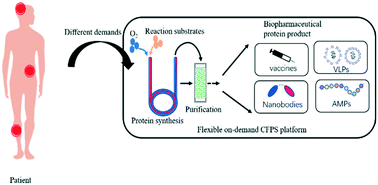 Graphical abstract: Flexible on-demand cell-free protein synthesis platform based on a tube-in-tube reactor