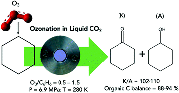 Graphical abstract: Experimental and computational investigations of C–H activation of cyclohexane by ozone in liquid CO2