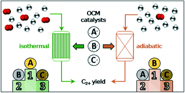 Graphical abstract: Catalyst screening for the oxidative coupling of methane: from isothermal to adiabatic operation via microkinetic simulations