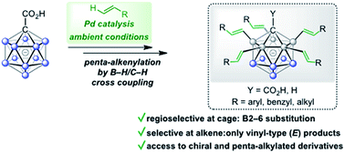 Graphical abstract: Highly selective palladium-catalyzed one-pot, five-fold B–H/C–H cross coupling of monocarboranes with alkenes