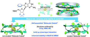 Graphical abstract: Construction of a cross-layer linked G-octamer via conformational control: a stable G-quadruplex in H-bond competitive solvents