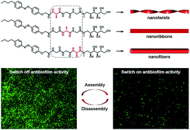 Graphical abstract: Sequence isomerism-dependent self-assembly of glycopeptide mimetics with switchable antibiofilm properties