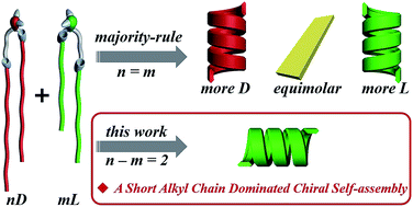 Graphical abstract: Homochiral nanotubes from heterochiral lipid mixtures: a shorter alkyl chain dominated chiral self-assembly