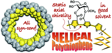 Graphical abstract: Synthesis of a one-handed helical polythiophene: a new approach using an axially chiral bithiophene with a fixed syn-conformation