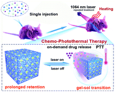 Graphical abstract: NIR-II light-modulated thermosensitive hydrogel for light-triggered cisplatin release and repeatable chemo-photothermal therapy