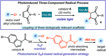 Graphical abstract: A visible-light mediated three-component radical process using dithiocarbamate anion catalysis