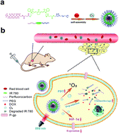 Graphical abstract: An oxygen self-sufficient NIR-responsive nanosystem for enhanced PDT and chemotherapy against hypoxic tumors