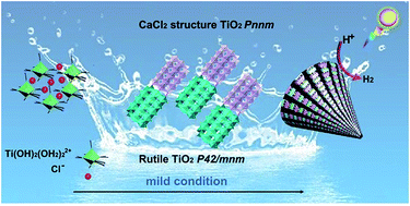Graphical abstract: A symbiotic hetero-nanocomposite that stabilizes unprecedented CaCl2-type TiO2 for enhanced solar-driven hydrogen evolution reaction