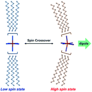 Graphical abstract: Ferroelectric metallomesogens composed of achiral spin crossover molecules
