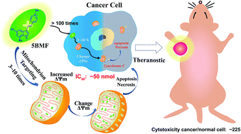 Graphical abstract: Mitochondria-targeting fluorescent molecules for high efficiency cancer growth inhibition and imaging